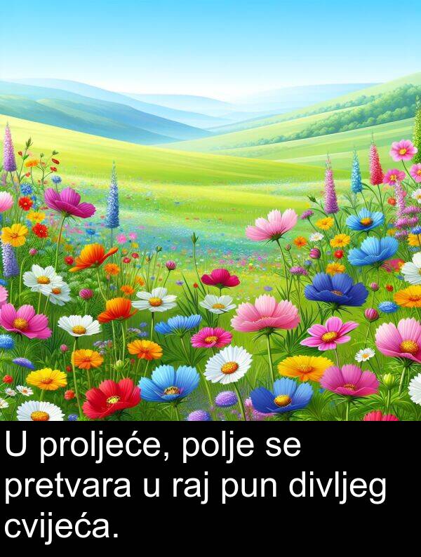 divljeg: U proljeće, polje se pretvara u raj pun divljeg cvijeća.
