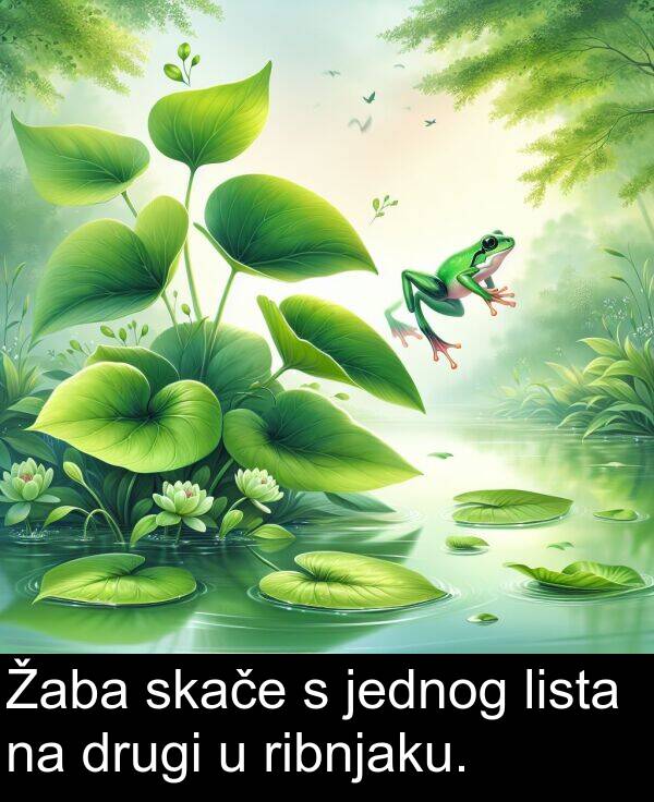 drugi: Žaba skače s jednog lista na drugi u ribnjaku.