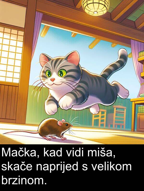 velikom: Mačka, kad vidi miša, skače naprijed s velikom brzinom.