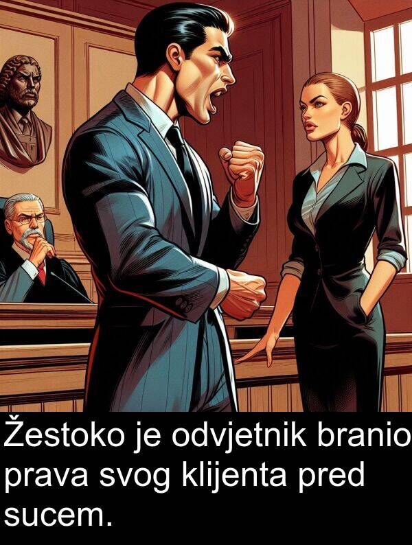 svog: Žestoko je odvjetnik branio prava svog klijenta pred sucem.