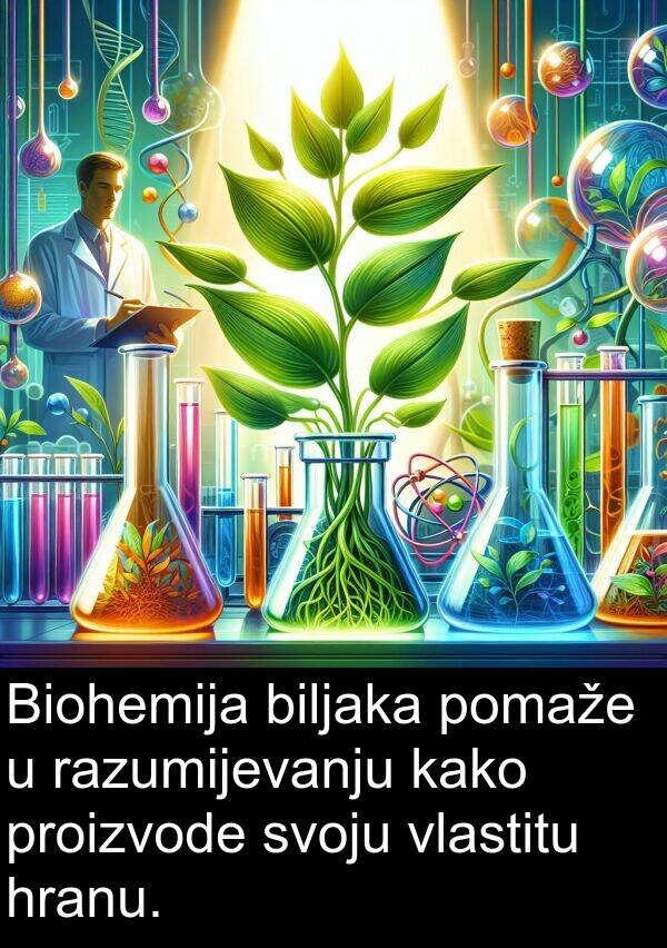 biljaka: Biohemija biljaka pomaže u razumijevanju kako proizvode svoju vlastitu hranu.