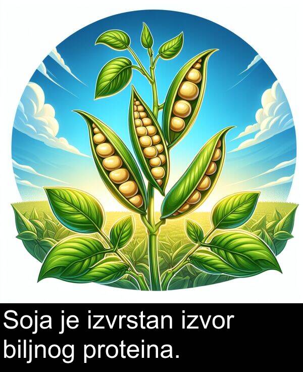 biljnog: Soja je izvrstan izvor biljnog proteina.