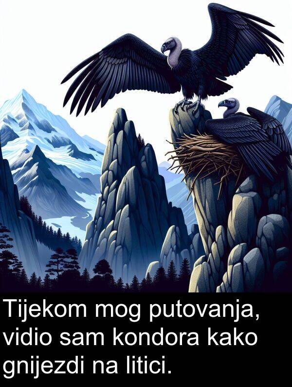 gnijezdi: Tijekom mog putovanja, vidio sam kondora kako gnijezdi na litici.