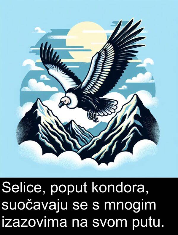 poput: Selice, poput kondora, suočavaju se s mnogim izazovima na svom putu.