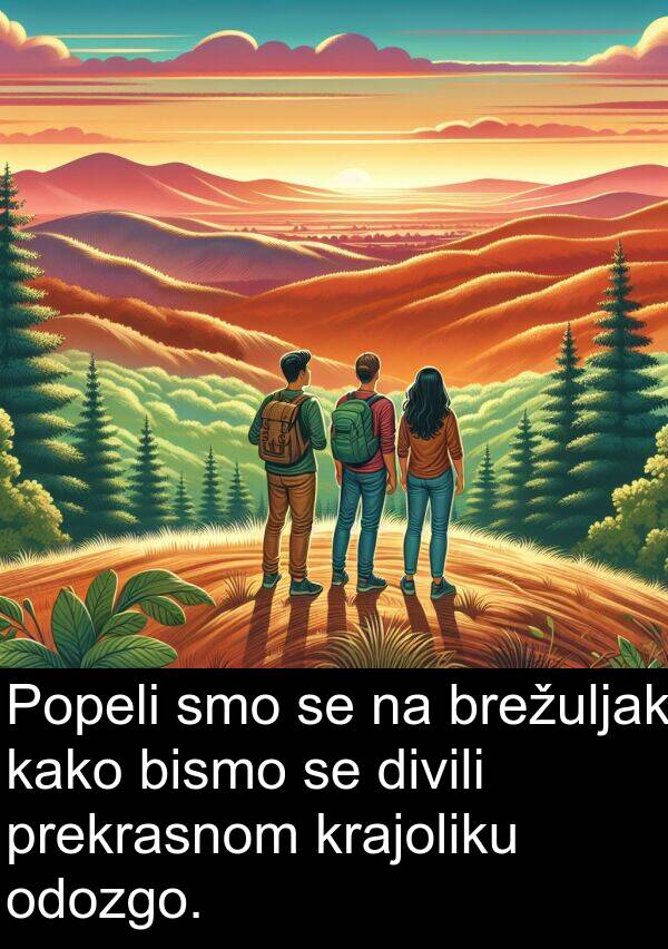 krajoliku: Popeli smo se na brežuljak kako bismo se divili prekrasnom krajoliku odozgo.