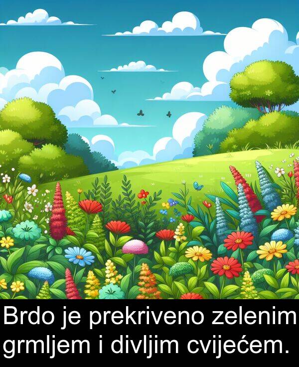 divljim: Brdo je prekriveno zelenim grmljem i divljim cvijećem.