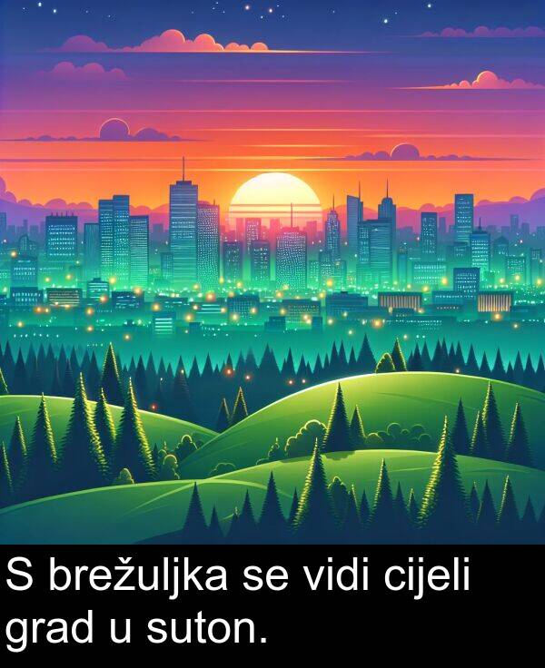 cijeli: S brežuljka se vidi cijeli grad u suton.