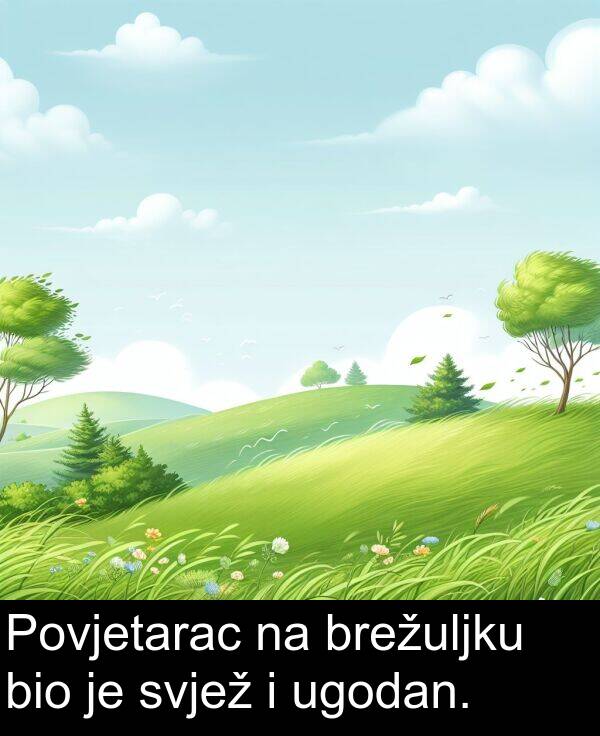 bio: Povjetarac na brežuljku bio je svjež i ugodan.