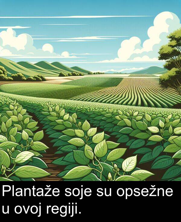 ovoj: Plantaže soje su opsežne u ovoj regiji.
