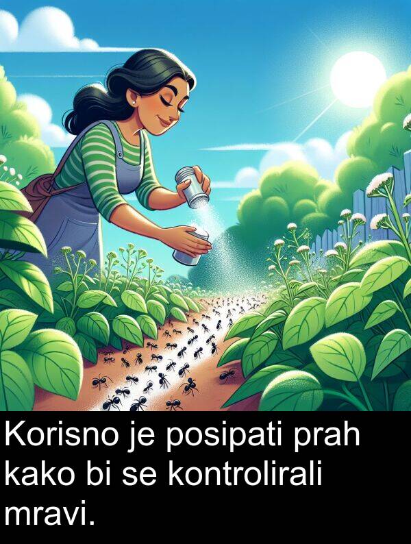 kontrolirali: Korisno je posipati prah kako bi se kontrolirali mravi.