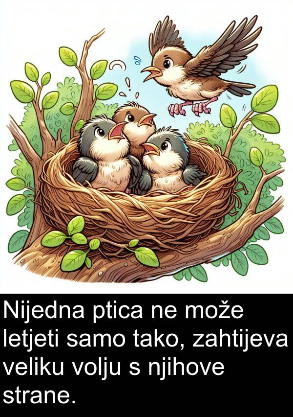 tako: Nijedna ptica ne može letjeti samo tako, zahtijeva veliku volju s njihove strane.