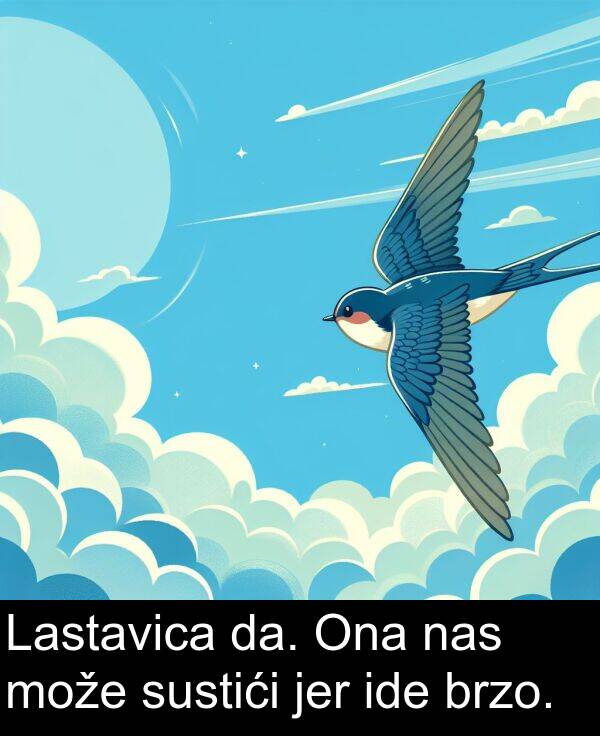 nas: Lastavica da. Ona nas može sustići jer ide brzo.