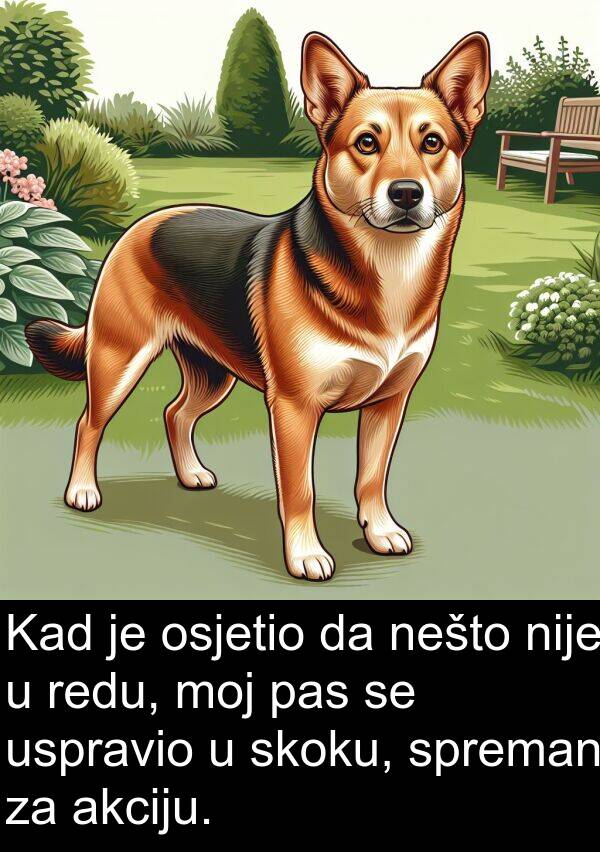 skoku: Kad je osjetio da nešto nije u redu, moj pas se uspravio u skoku, spreman za akciju.