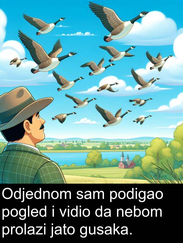 nebom: Odjednom sam podigao pogled i vidio da nebom prolazi jato gusaka.