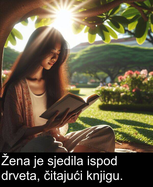 ispod: Žena je sjedila ispod drveta, čitajući knjigu.