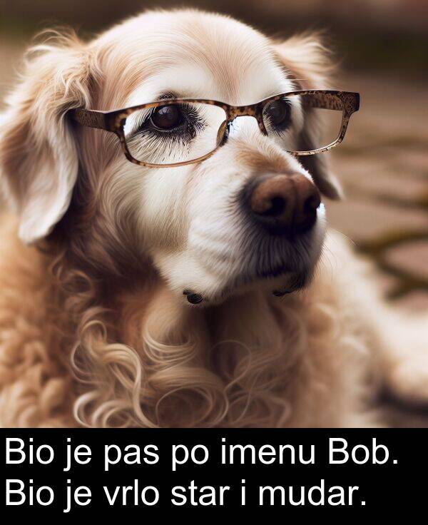 imenu: Bio je pas po imenu Bob. Bio je vrlo star i mudar.