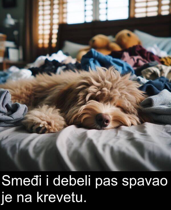 debeli: Smeđi i debeli pas spavao je na krevetu.