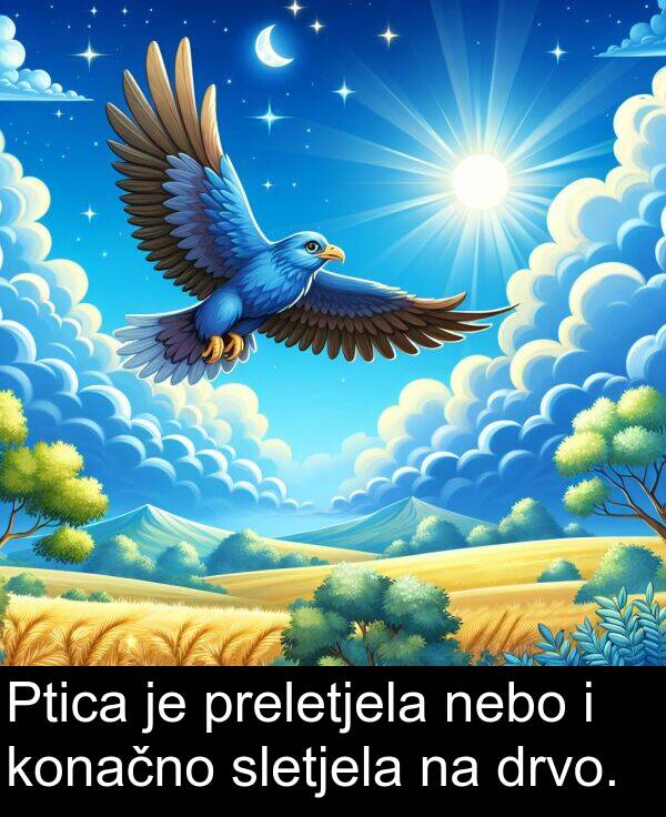 nebo: Ptica je preletjela nebo i konačno sletjela na drvo.