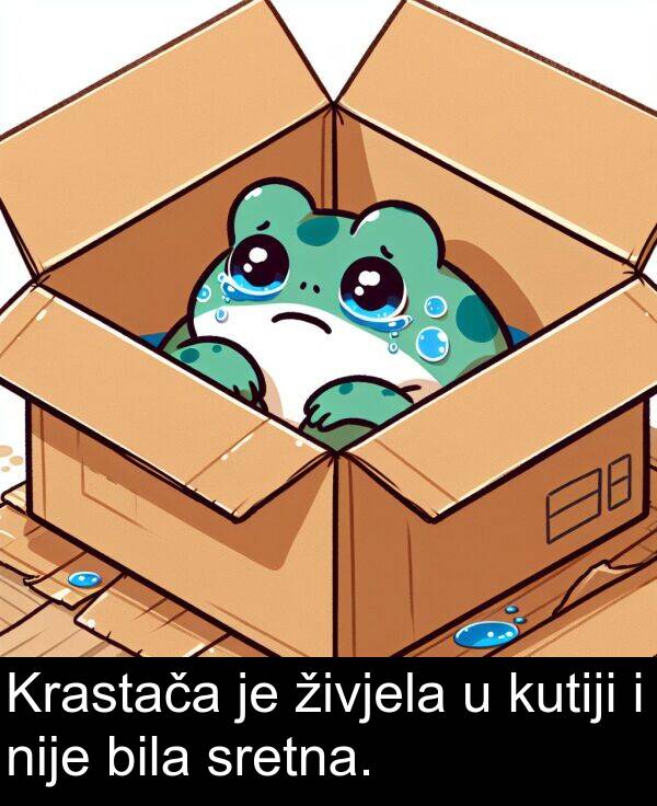 nije: Krastača je živjela u kutiji i nije bila sretna.