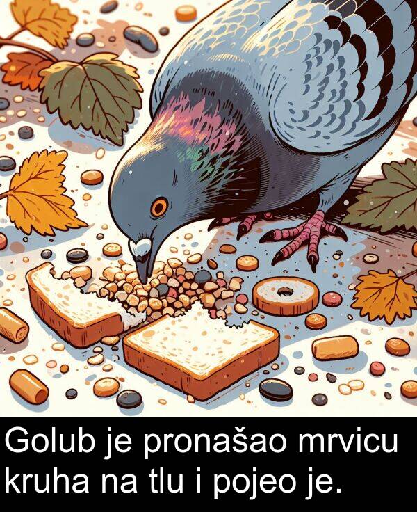tlu: Golub je pronašao mrvicu kruha na tlu i pojeo je.