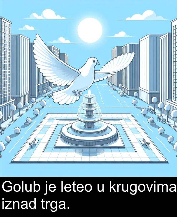 krugovima: Golub je leteo u krugovima iznad trga.