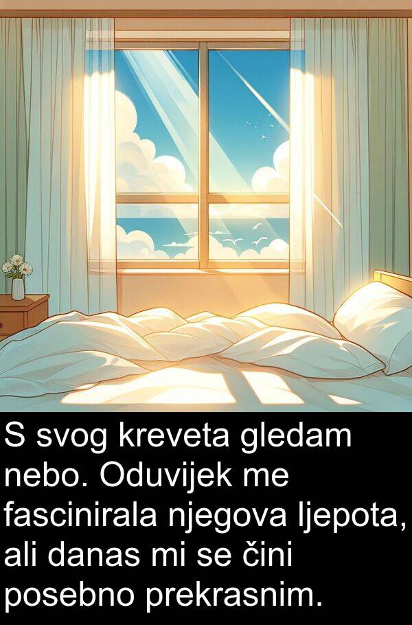 nebo: S svog kreveta gledam nebo. Oduvijek me fascinirala njegova ljepota, ali danas mi se čini posebno prekrasnim.