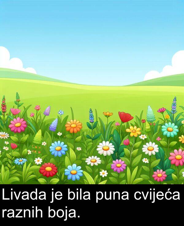 puna: Livada je bila puna cvijeća raznih boja.