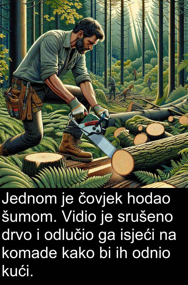 čovjek: Jednom je čovjek hodao šumom. Vidio je srušeno drvo i odlučio ga isjeći na komade kako bi ih odnio kući.