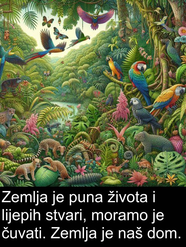 puna: Zemlja je puna života i lijepih stvari, moramo je čuvati. Zemlja je naš dom.