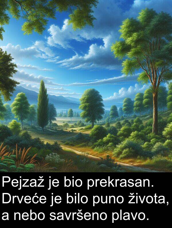 nebo: Pejzaž je bio prekrasan. Drveće je bilo puno života, a nebo savršeno plavo.