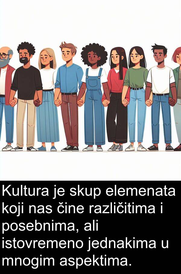 aspektima: Kultura je skup elemenata koji nas čine različitima i posebnima, ali istovremeno jednakima u mnogim aspektima.
