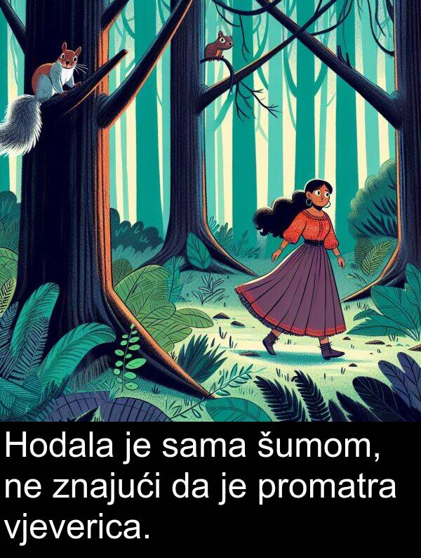 sama: Hodala je sama šumom, ne znajući da je promatra vjeverica.