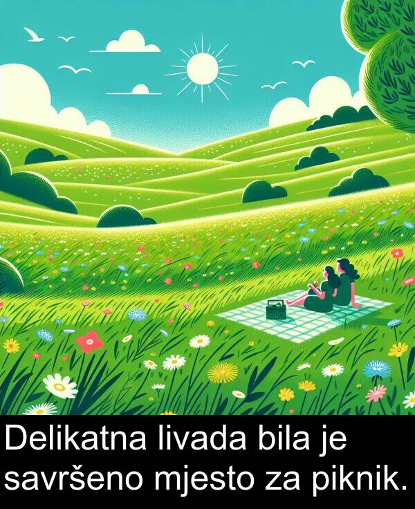savršeno: Delikatna livada bila je savršeno mjesto za piknik.