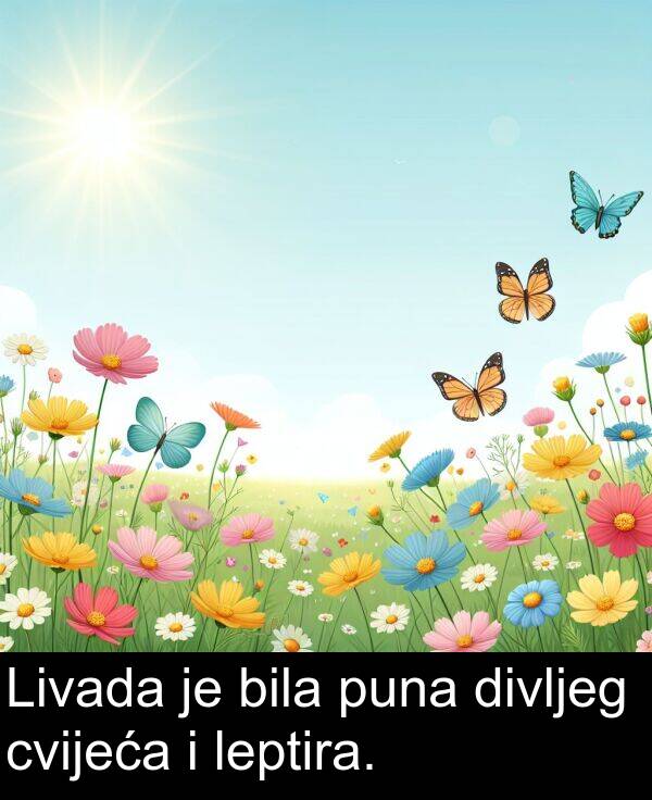 puna: Livada je bila puna divljeg cvijeća i leptira.