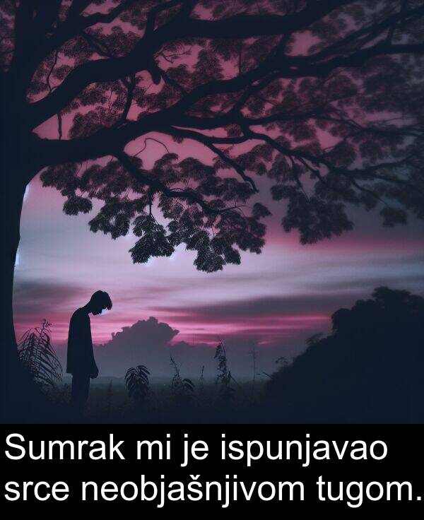 ispunjavao: Sumrak mi je ispunjavao srce neobjašnjivom tugom.