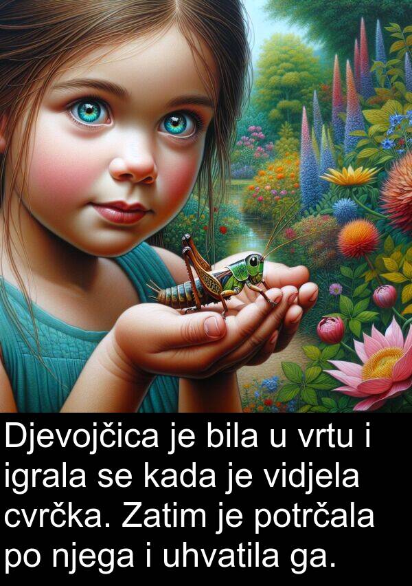 igrala: Djevojčica je bila u vrtu i igrala se kada je vidjela cvrčka. Zatim je potrčala po njega i uhvatila ga.