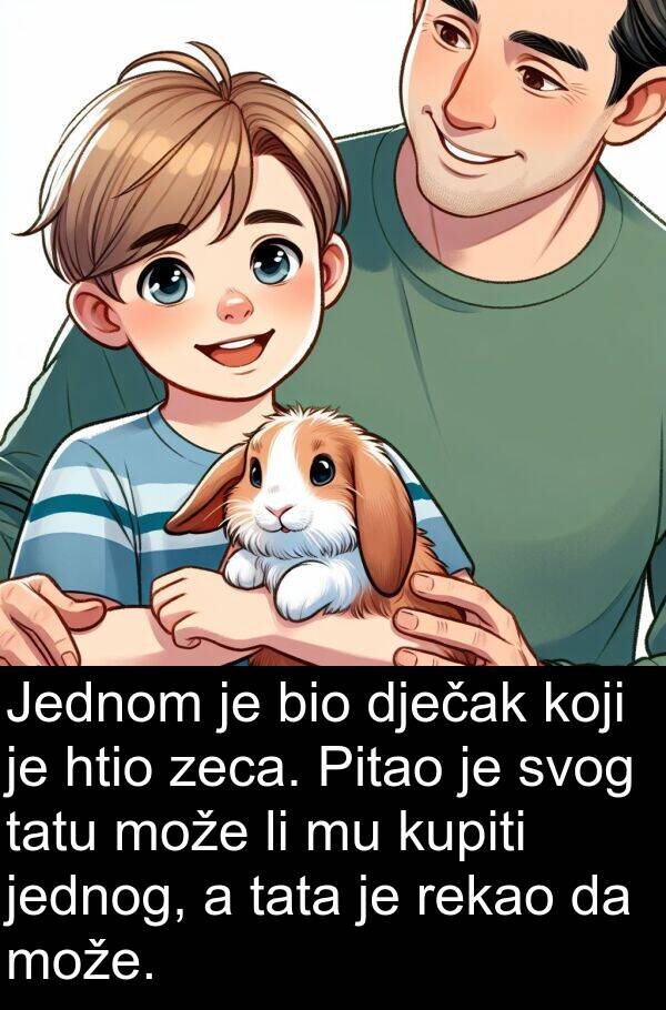 tata: Jednom je bio dječak koji je htio zeca. Pitao je svog tatu može li mu kupiti jednog, a tata je rekao da može.