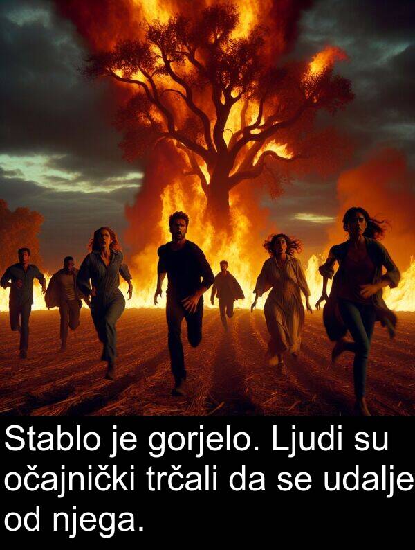 udalje: Stablo je gorjelo. Ljudi su očajnički trčali da se udalje od njega.