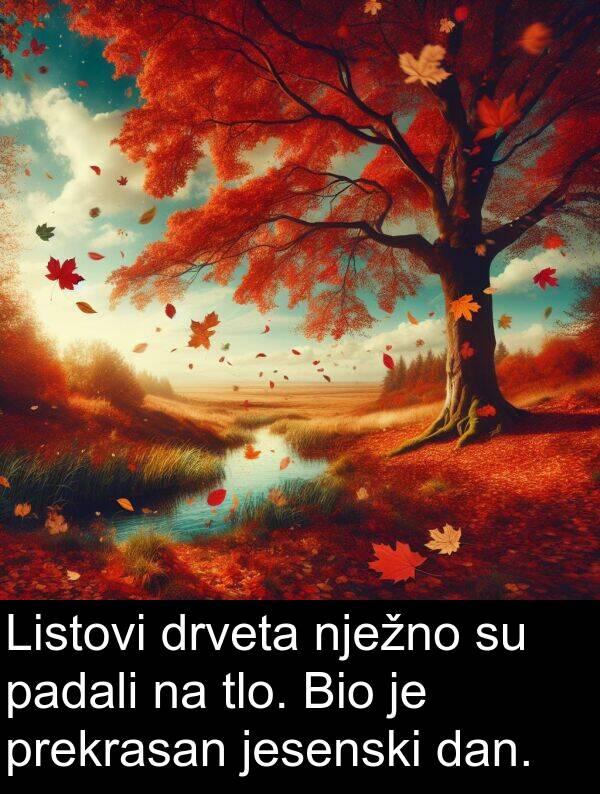 tlo: Listovi drveta nježno su padali na tlo. Bio je prekrasan jesenski dan.
