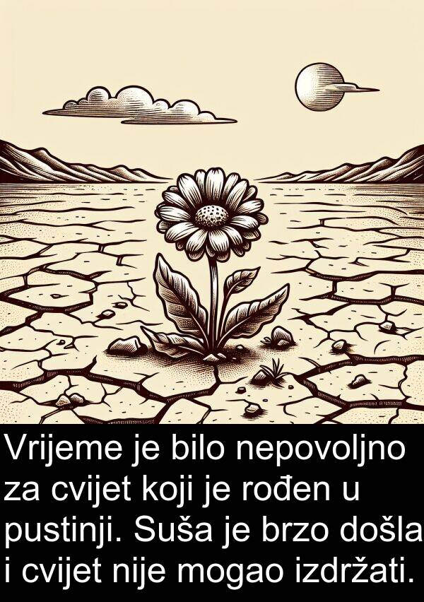 brzo: Vrijeme je bilo nepovoljno za cvijet koji je rođen u pustinji. Suša je brzo došla i cvijet nije mogao izdržati.