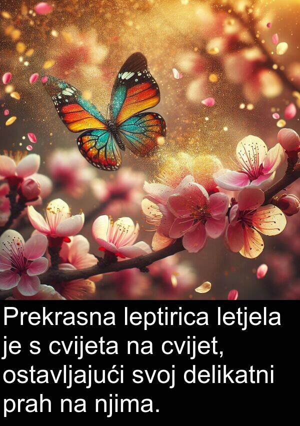 delikatni: Prekrasna leptirica letjela je s cvijeta na cvijet, ostavljajući svoj delikatni prah na njima.