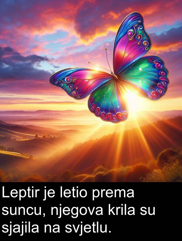 sjajila: Leptir je letio prema suncu, njegova krila su sjajila na svjetlu.