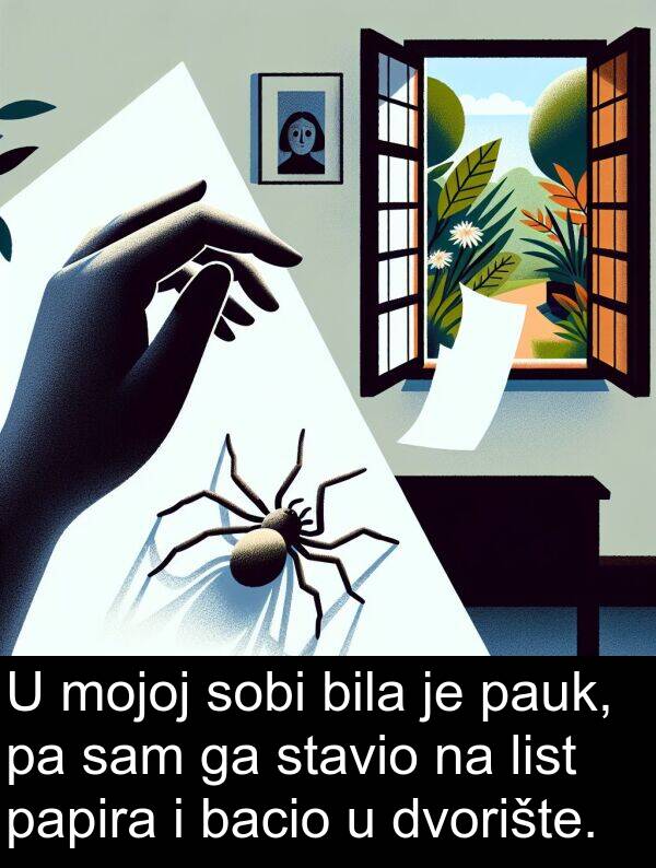 bacio: U mojoj sobi bila je pauk, pa sam ga stavio na list papira i bacio u dvorište.