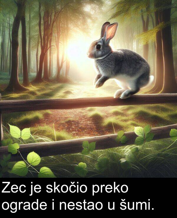 skočio: Zec je skočio preko ograde i nestao u šumi.