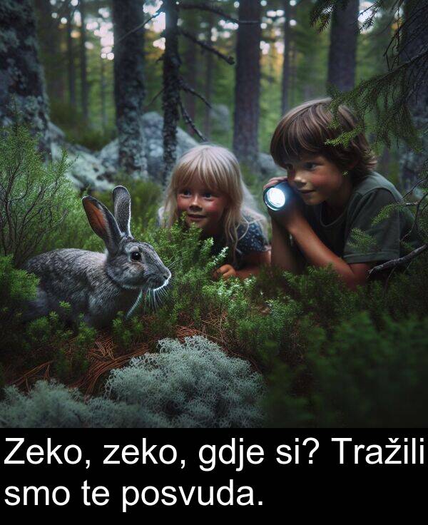 si: Zeko, zeko, gdje si? Tražili smo te posvuda.