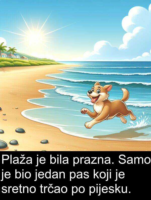 pijesku: Plaža je bila prazna. Samo je bio jedan pas koji je sretno trčao po pijesku.