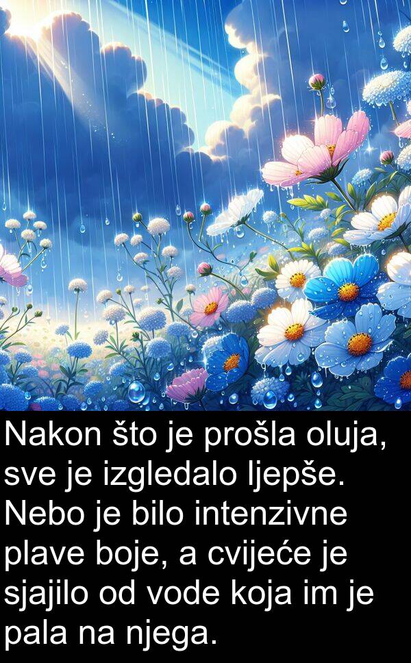 intenzivne: Nakon što je prošla oluja, sve je izgledalo ljepše. Nebo je bilo intenzivne plave boje, a cvijeće je sjajilo od vode koja im je pala na njega.