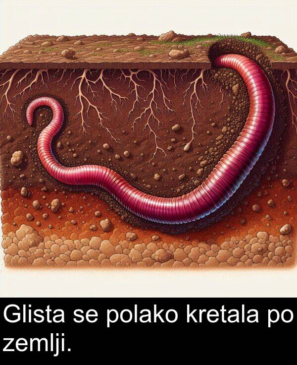 zemlji: Glista se polako kretala po zemlji.