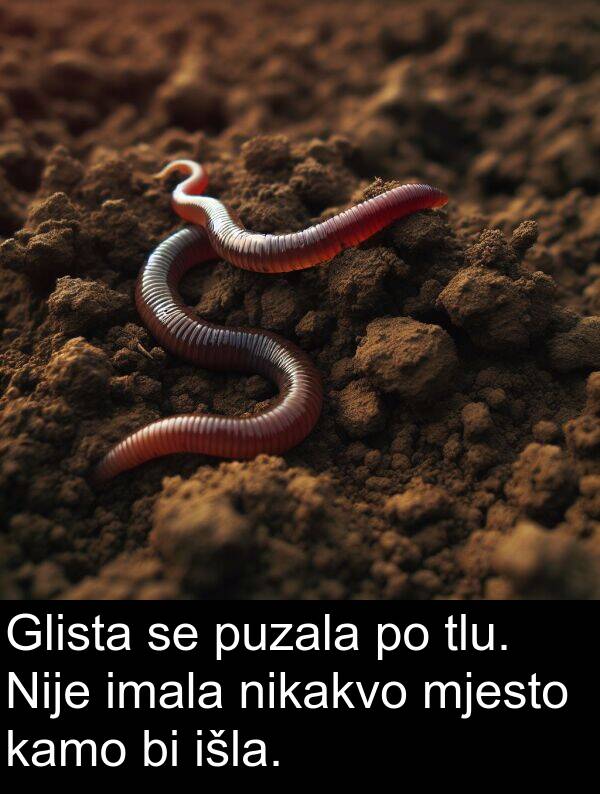 tlu: Glista se puzala po tlu. Nije imala nikakvo mjesto kamo bi išla.