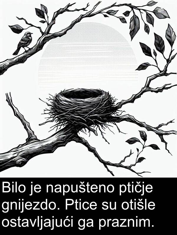 gnijezdo: Bilo je napušteno ptičje gnijezdo. Ptice su otišle ostavljajući ga praznim.
